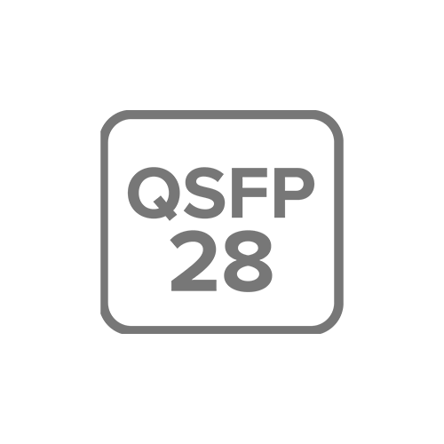 2X 100G QSFP28 PORTS