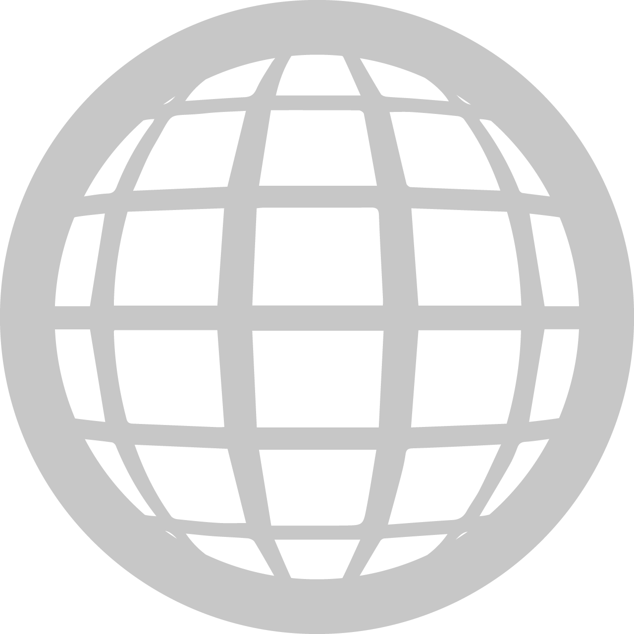 Globe Icon