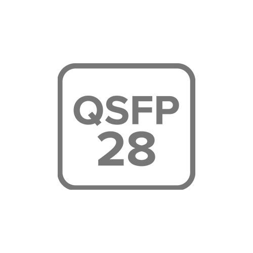 2X 100 GIGABIT QSFP28 PORTS