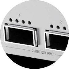 200G QSFP56 PORTS