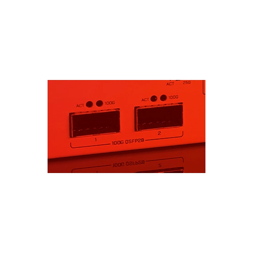 2X 100 GIGABIT QSFP28